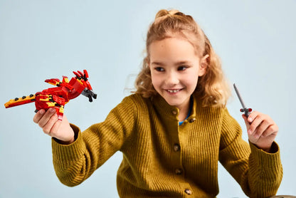 LEGO® Harry Potter™ Fawkes™ – Magisch en symbolisch bouwcadeau