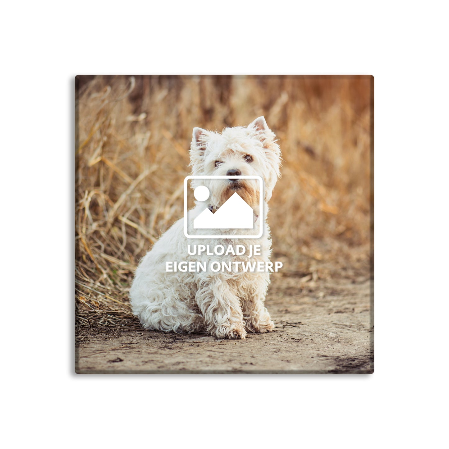 Tegeltje met foto 11x11cm of 15x15cm - Ontwerp zelf